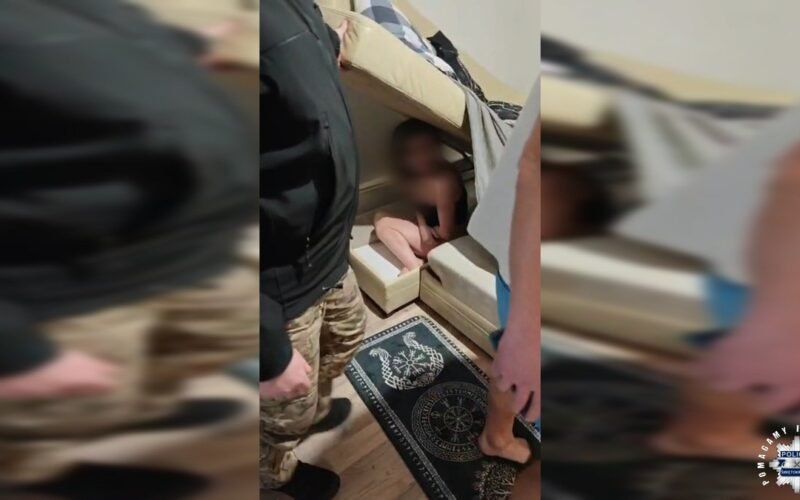 Женщина пыталась спрятаться от полиции в диване