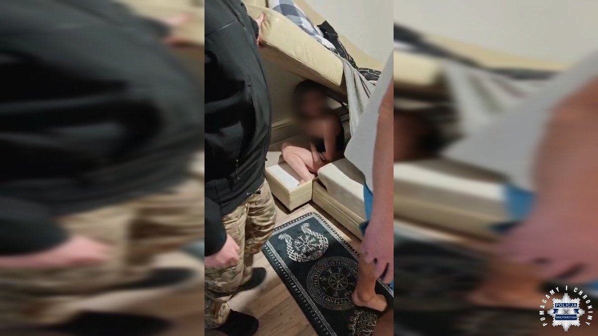 Женщина пыталась спрятаться от полиции в диване