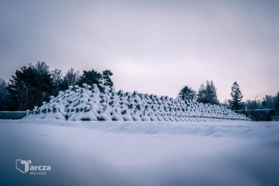 Инженерные сооружения "Восточный Щит", Польши