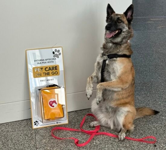 В варшавском аэропорту Шопена установили специальные аптечки первой помощи для животных