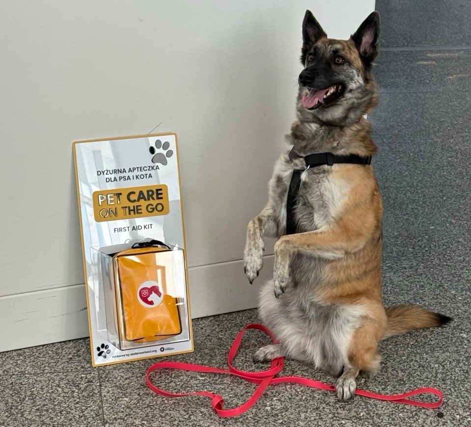 В варшавском аэропорту Шопена установили специальные аптечки первой помощи для животных