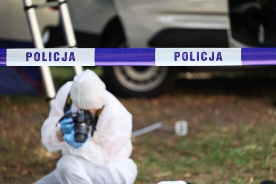 В Польше во время работ на участке были обнаружены останки 32 плодов — задержана 57-летняя патологоанатом, которая ранее владела этой землёй